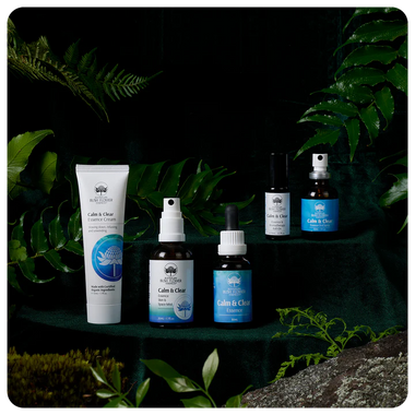 Calm & Clear Essence Gift Bundle