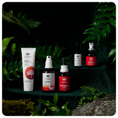 Emergency Essence - 5 Piece Gift Set