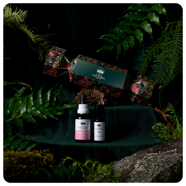 Mumma's Mojo Gift Set