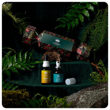 Abundance & Creativity