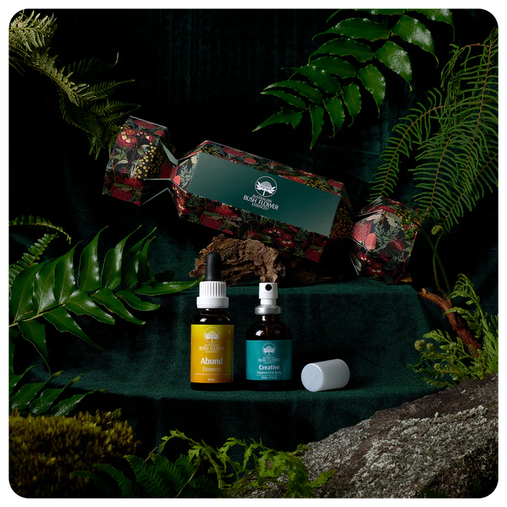 Abundance & Creativity