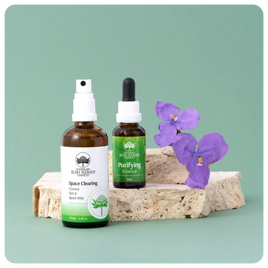 Clear & Cleanse Bundle