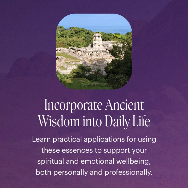 White Light Workshop with Ian White - LONDON,  16-17 May, 2026