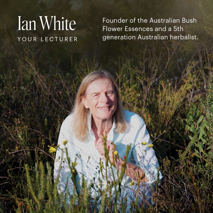 White Light Workshop with Ian White - LONDON,  16-17 May, 2026