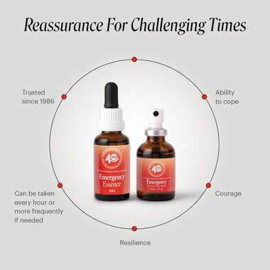 40-Year Anniversary Emergency Essence Duo