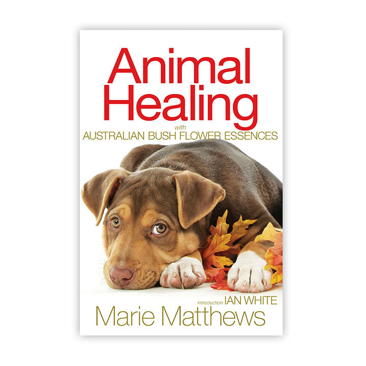 Animal Healing with Australian Bush Flower Essences by Marie Matthews