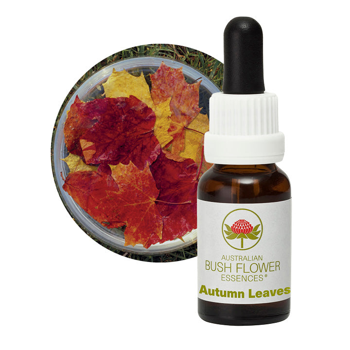 Autumn Leaves Single Essence Australian Bush Flower Essences UK