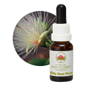 Billy Goat Plum Australian Bush Flower Single Essences UK