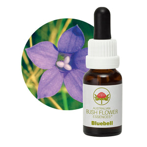 Bluebell Single Essence Remedy Australian Bush Flower Essences UK