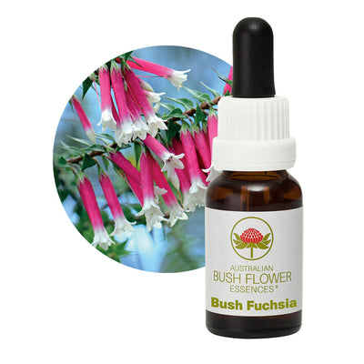 Bush Fuchsia Flower Essence UK