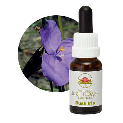 Bush Iris Flower Essence UK