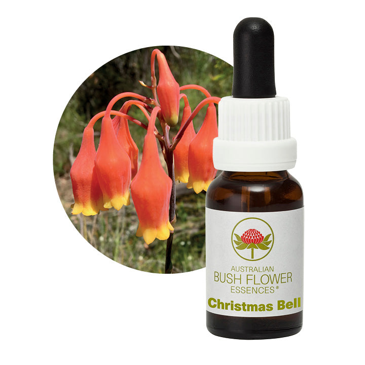 Christmas Bell Australian Bush Flower Essences UK