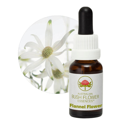 Flannel Flower Single Essence Bush Flower Essences UK