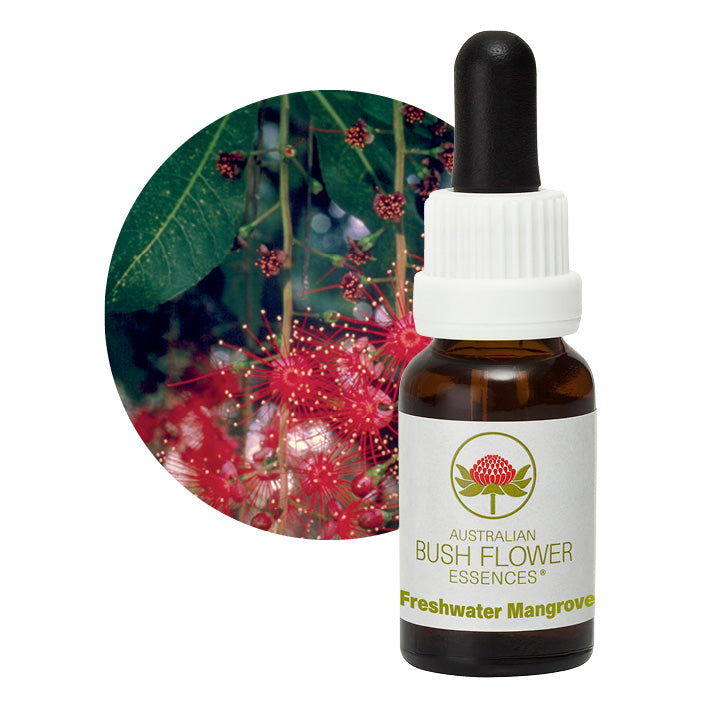 Freshwater Mangrove Flower Essence UK