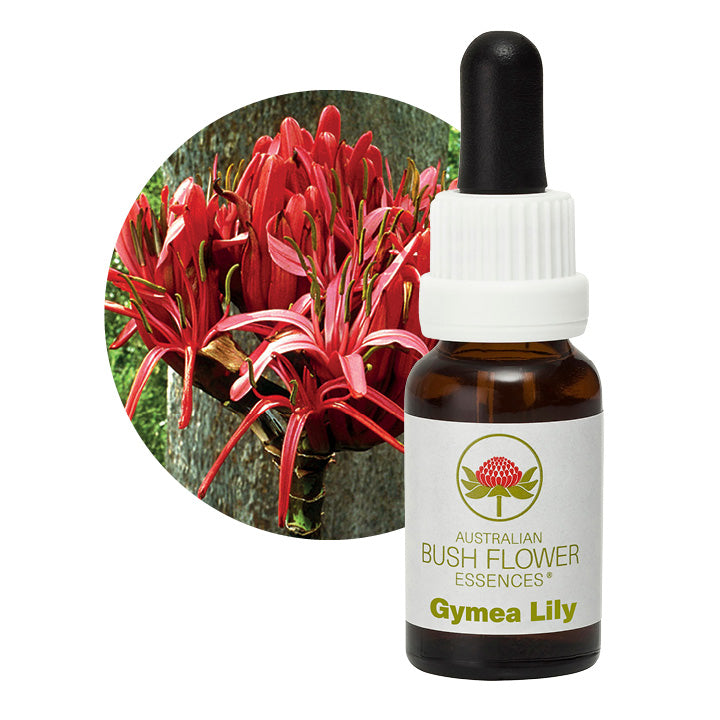 Gymea Lily Flower Essence Remedy