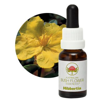 Hibbertia Flower Essence 