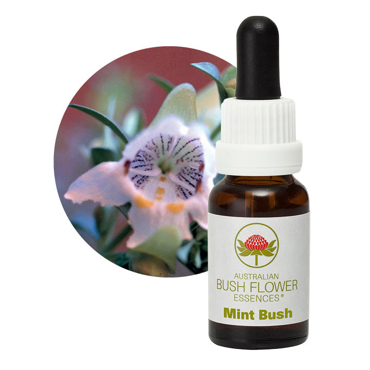 Mint Bush Aus Flower Essences UK