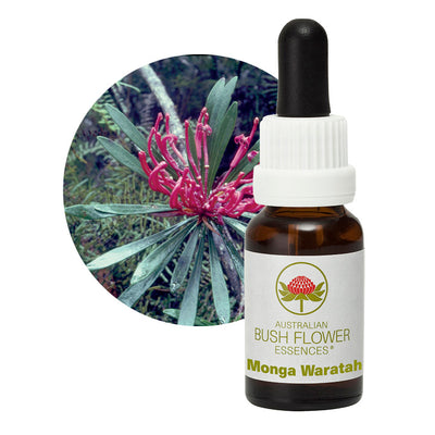Monga Waratah Flower Essence UK