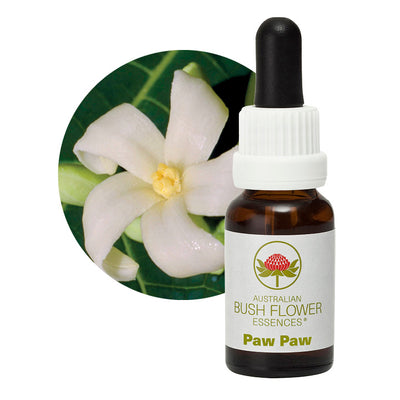 Paw Paw Flower Essence UK