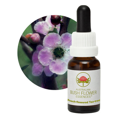 Peach Flowered Tea Tree Flower Essence 