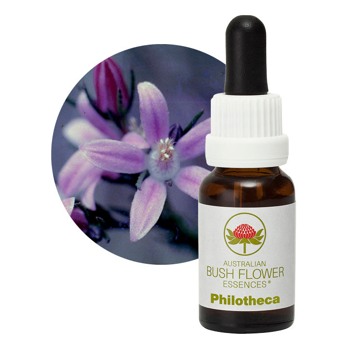 Philotheca Flower Essences from Australian Bush Flowers UK