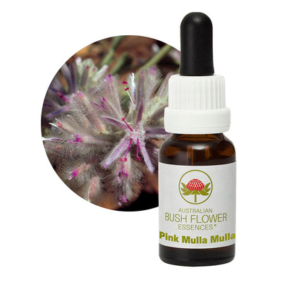 Pink Mulla Mulla Flower Essences Remedy UK