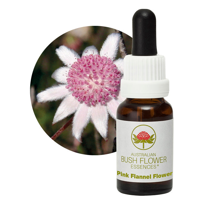 Pink Flannel Flower Essences