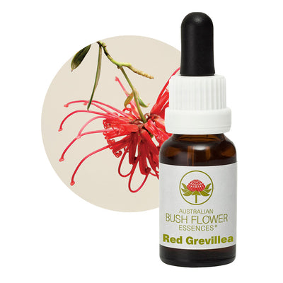 Red Grevillea Australian Bush Flower Essences 