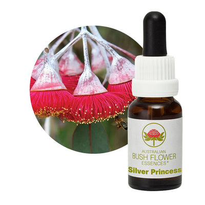 Silver Princess Aus Bush Flower Essences UK