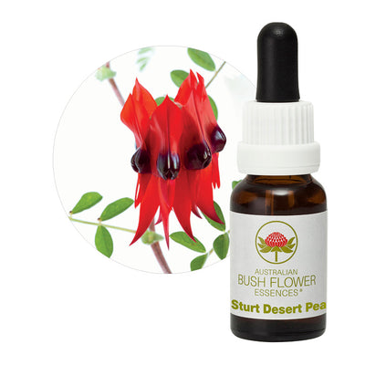 Sturt Desert Pea Essence