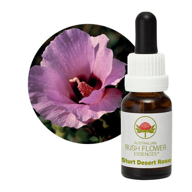Sturt Desert Rose Aus Flowers Essences UK