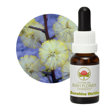 Sunshine Wattle Flower Essences UK