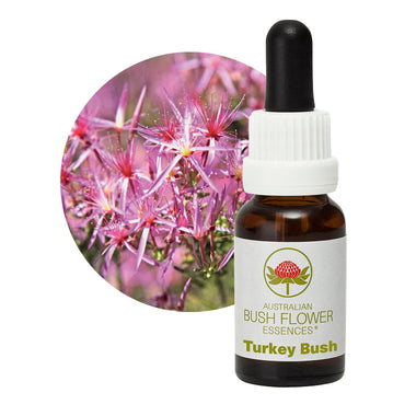 Turkey Bush Australian Bush Flower Essences UK