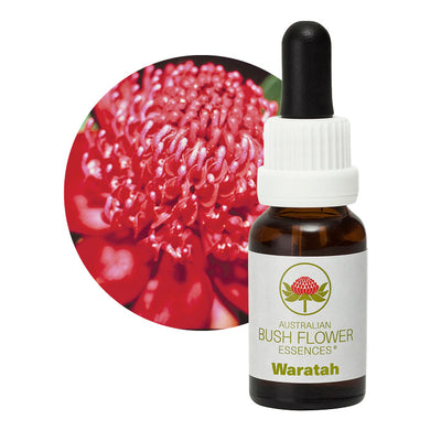 Waratah Aus Flower Essences UK