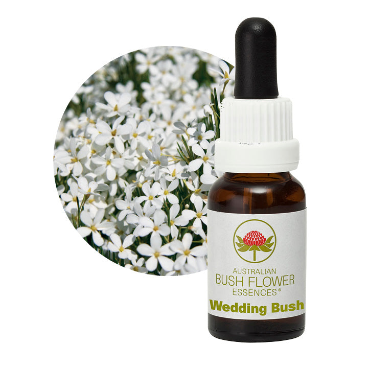 Wedding Bush Aus Flower Essences UK