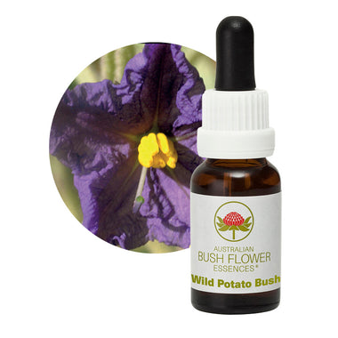 Wild Potato Bush Flower Essences UK