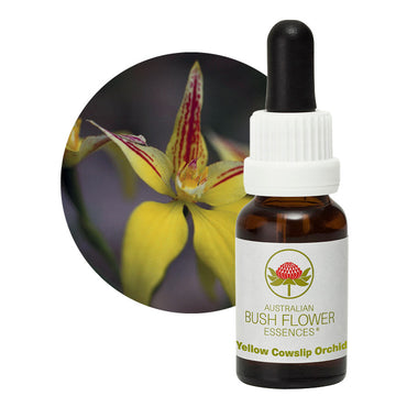 Yellow Cowslip Orchid Aus Flower Essences UK
